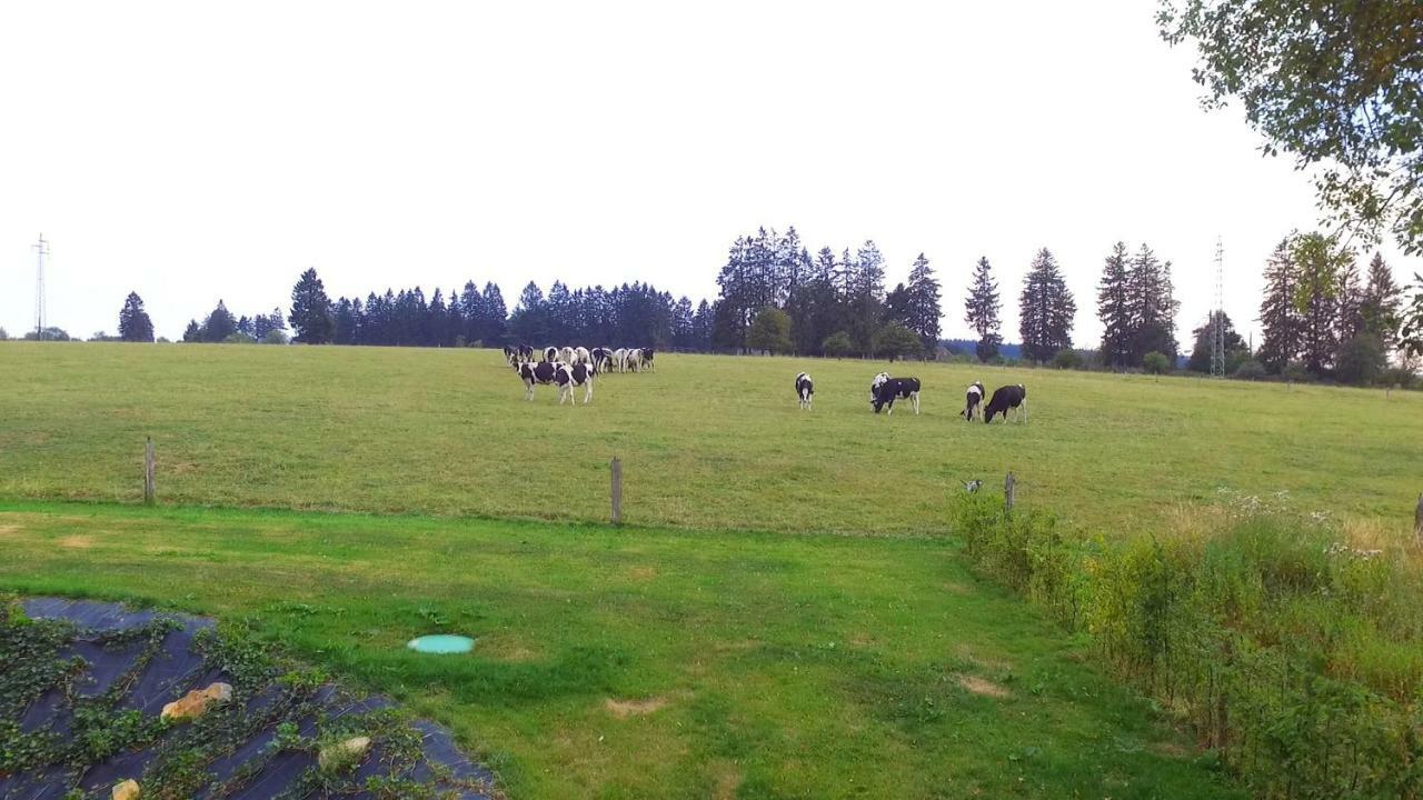 Oduo Nature Jalhay Exteriör bild